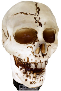 Giant Halloween Skull Animatronic Lamp Prop: 20" Tall, Heavy-Duty
