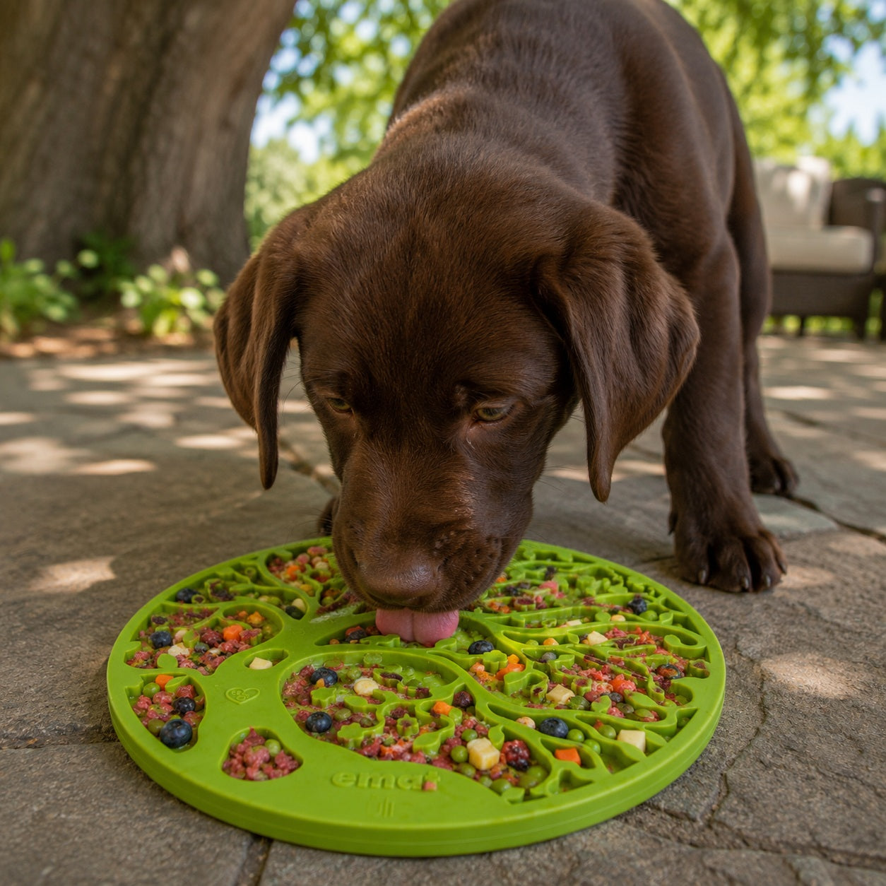 Tree of Life Enrichment Lick Mat with Suction Cups - 8"