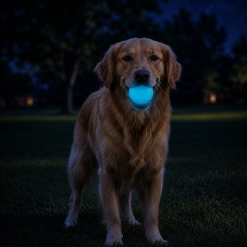 Strobe Light-Up Rubber Ball
