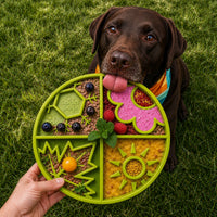Four Seasons Slow Feeder Dog Bowl for Enrichment - 8" diameter x 1.5" deep