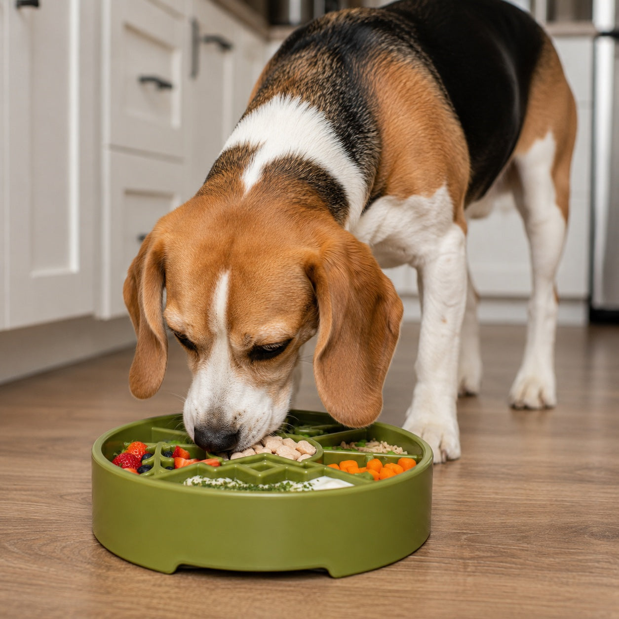 Great Outdoors Slow Feeder Dog Bowl for Enrichment - 8" diameter x 2" deep