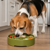Great Outdoors Slow Feeder Dog Bowl for Enrichment - 8" diameter x 2" deep