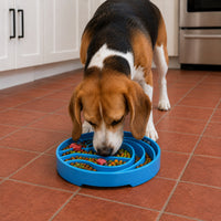 Baja Slow Feeder Dog Bowl for Enrichment - 8" diameter x 1.5" deep