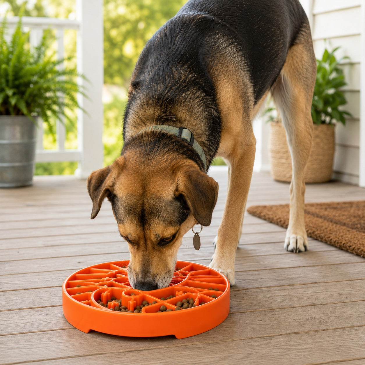 Sun and Moon Slow Feeder Dog Bowl for Enrichment - 8" diameter x 1.5" deep