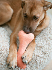 Ombre Woolbone Dog Toy