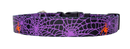 Spider Web Purple Dog Collar