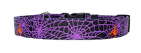 Spider Web Purple Dog Collar