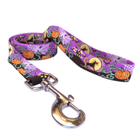 Scary Night Pet Leash
