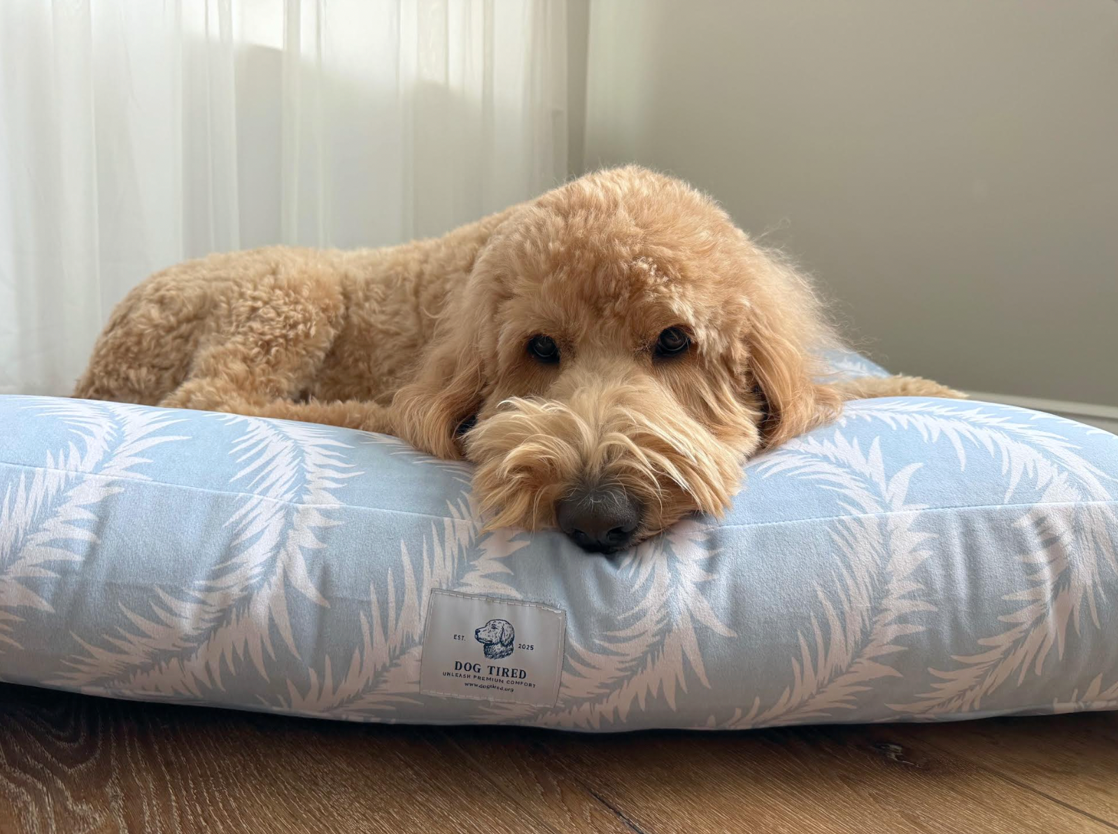 modern coastal blue and white dog bed with a brown dog lying on it. 
