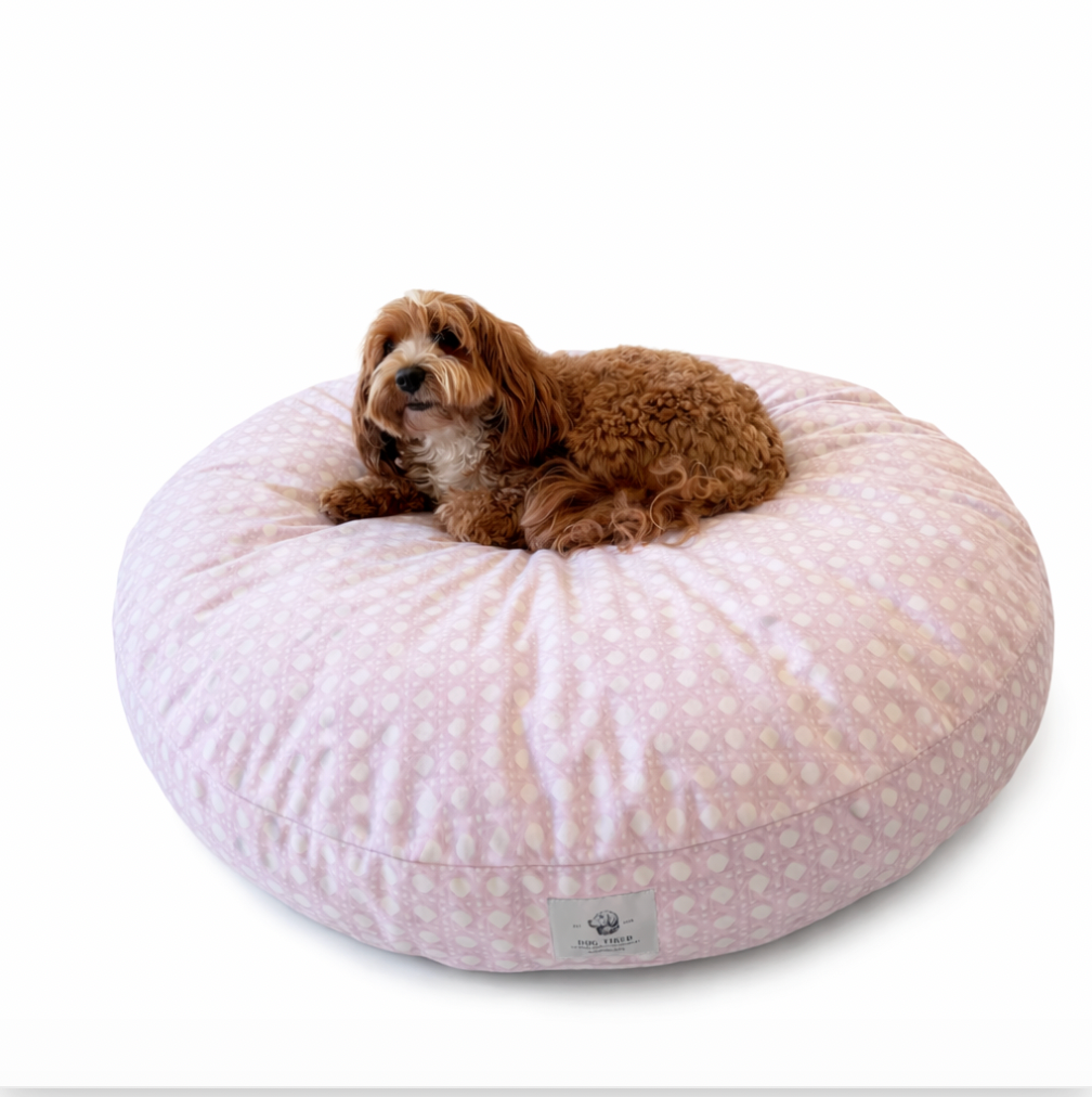 A small brown dog lies on a plush pink cat and dog donut bed on a white background.