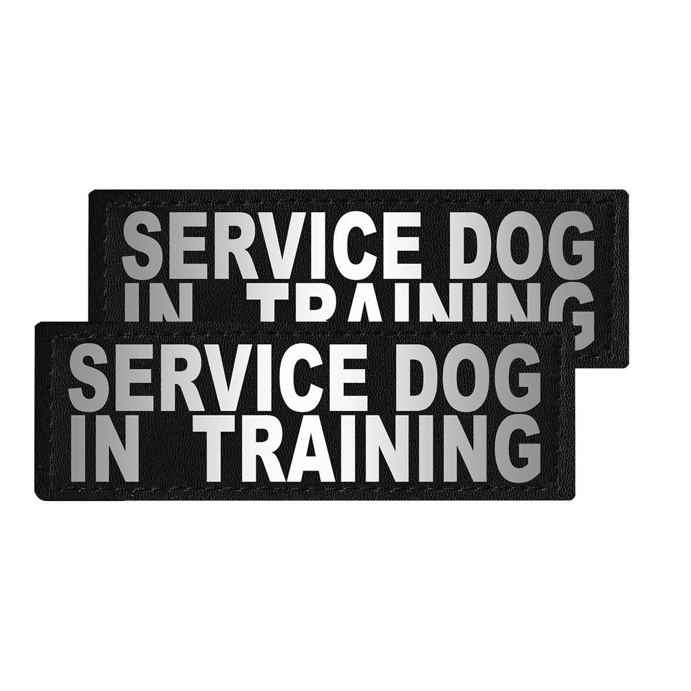 Two black patches with 'SERVICE DOG IN TRAINING' text on a white background