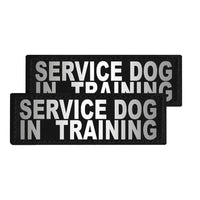 Two black patches with 'SERVICE DOG IN TRAINING' text on a white background