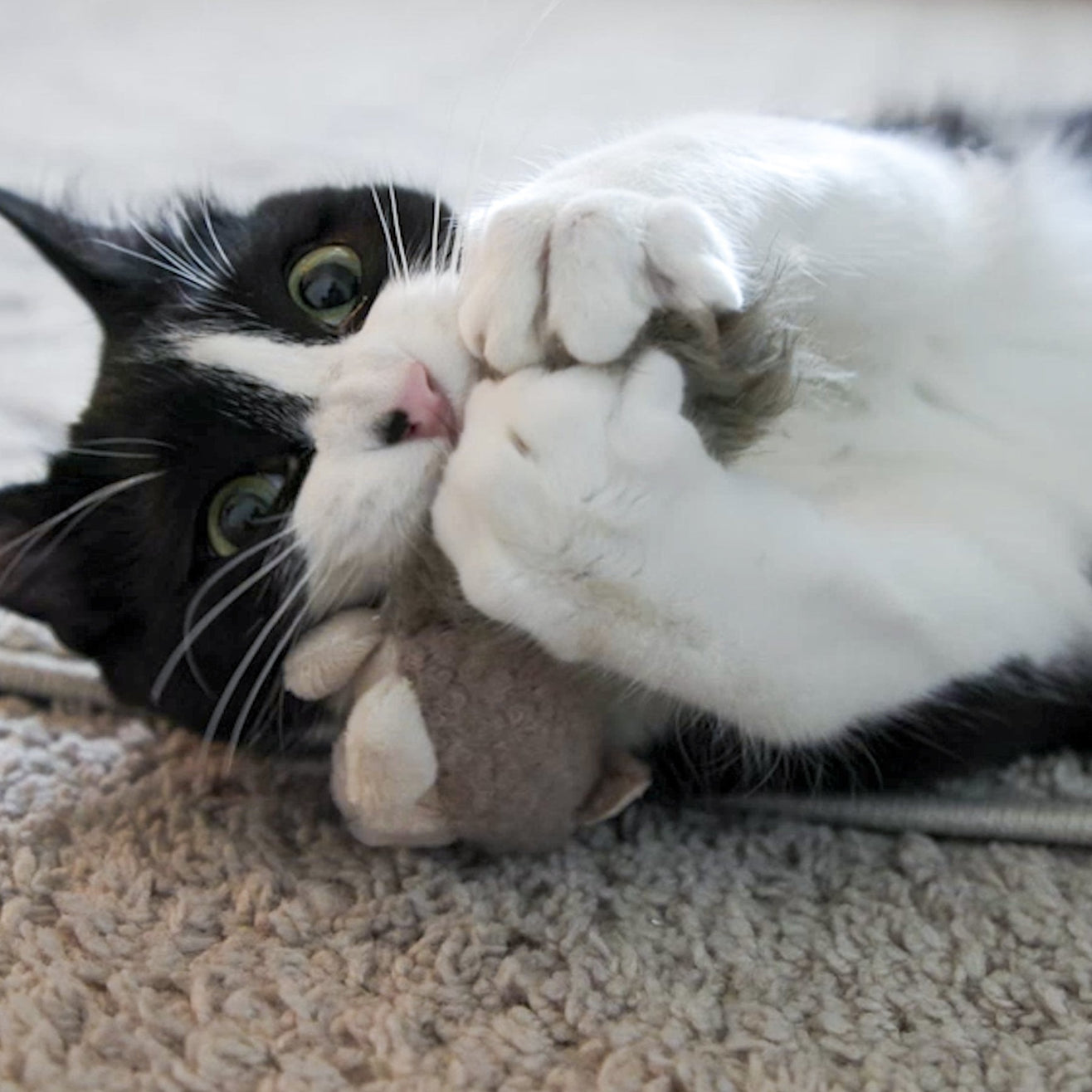 Wee Fellar Squirrelie Catnip & Crinkle Toy - HuggleKats®