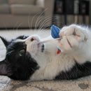 HuggleKats® Chickies Cat Toys, 3 Pack