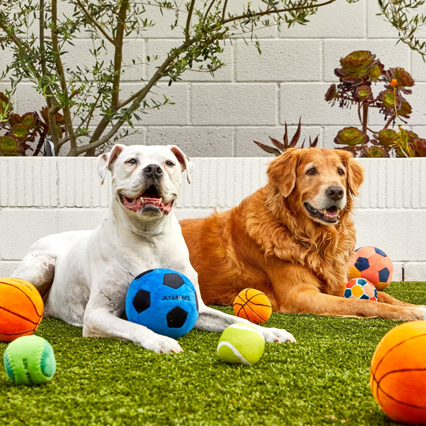 Soccer Ball Plush Dog Toy in Blue or Orange