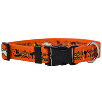 Trick or Treat  Pet Collar