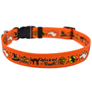 Trick or Treat  Pet Collar