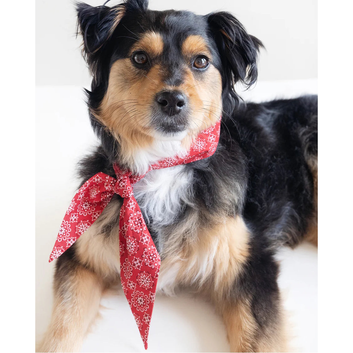 The Classic Necktie