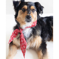 The Classic Necktie