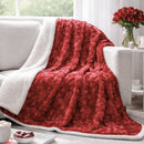 Lovely Hearts Dreamy Soft Plush Sherpa Blanket