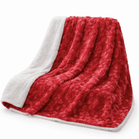 Lovely Hearts Dreamy Soft Plush Sherpa Blanket
