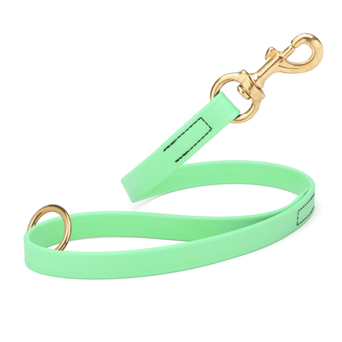 mint green SMOOTH BioThane Traffic Lead Leash with a brass clip that comes in a 20 inch length and 3/4" width