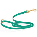 kelly green waterproof biothane cat or dog leash with gold colored brass snap clip that comes in widths of 1/2", 5/8" and 3/4" and is 6 feet long.