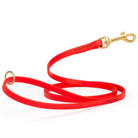 bright red waterproof biothane cat or dog leash with gold colored brass snap clip that comes in widths of 1/2", 5/8" and 3/4" and is 6 feet long.
