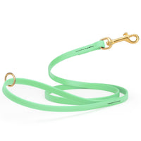 mint green waterproof biothane cat or dog leash with gold colored brass snap clip that comes in widths of 1/2", 5/8" and 3/4" and is 6 feet long.