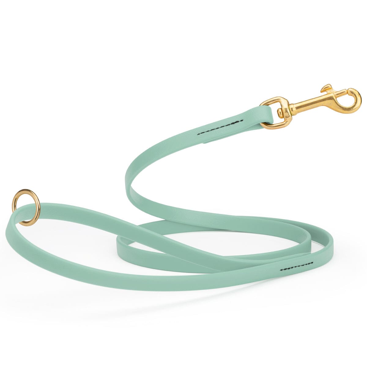 seafoam green waterproof biothane cat or dog leash with gold colored brass snap clip that comes in widths of 1/2", 5/8" and 3/4" and is 6 feet long.