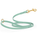 seafoam green waterproof biothane cat or dog leash with gold colored brass snap clip that comes in widths of 1/2", 5/8" and 3/4" and is 6 feet long.