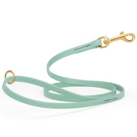 seafoam green waterproof biothane cat or dog leash with gold colored brass snap clip that comes in widths of 1/2", 5/8" and 3/4" and is 6 feet long.
