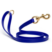 Brass Clip - SMOOTH BioThane Leash: 6ft; 1/2", 5/8", 3/4" wide
