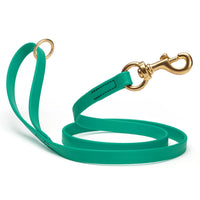 Brass Clip - SMOOTH BioThane Leash: 6ft; 1/2", 5/8", 3/4" wide