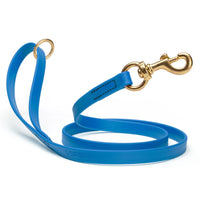 Brass Clip - SMOOTH BioThane Leash: 6ft; 1/2", 5/8", 3/4" wide