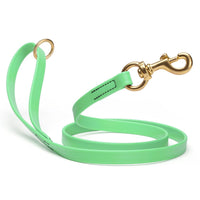 Brass Clip - SMOOTH BioThane Leash: 6ft; 1/2", 5/8", 3/4" wide