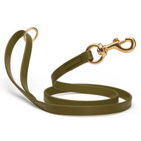 Brass Clip - SMOOTH BioThane Leash: 6ft; 1/2", 5/8", 3/4" wide