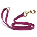 Brass Clip - SMOOTH BioThane Leash: 6ft; 1/2", 5/8", 3/4" wide
