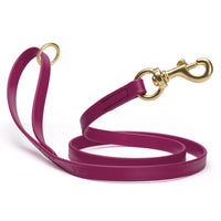 Brass Clip - SMOOTH BioThane Leash: 6ft; 1/2", 5/8", 3/4" wide
