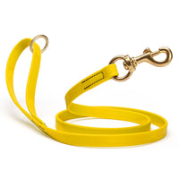 Brass Clip - SMOOTH BioThane Leash: 6ft; 1/2", 5/8", 3/4" wide