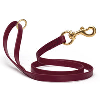 Brass Clip - SMOOTH BioThane Leash: 6ft; 1/2", 5/8", 3/4" wide