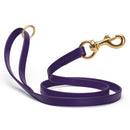 Dark Purple waterproof biothane cat or dog leash with gold colored brass snap clip that comes in widths of 1/2", 5/8" and 3/4" and is 6 feet long.