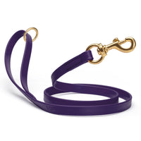 Dark Purple waterproof biothane cat or dog leash with gold colored brass snap clip that comes in widths of 1/2", 5/8" and 3/4" and is 6 feet long.