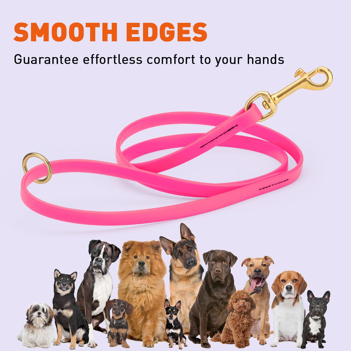 Brass Clip - SMOOTH BioThane Leash: 6ft; 1/2", 5/8", 3/4" wide
