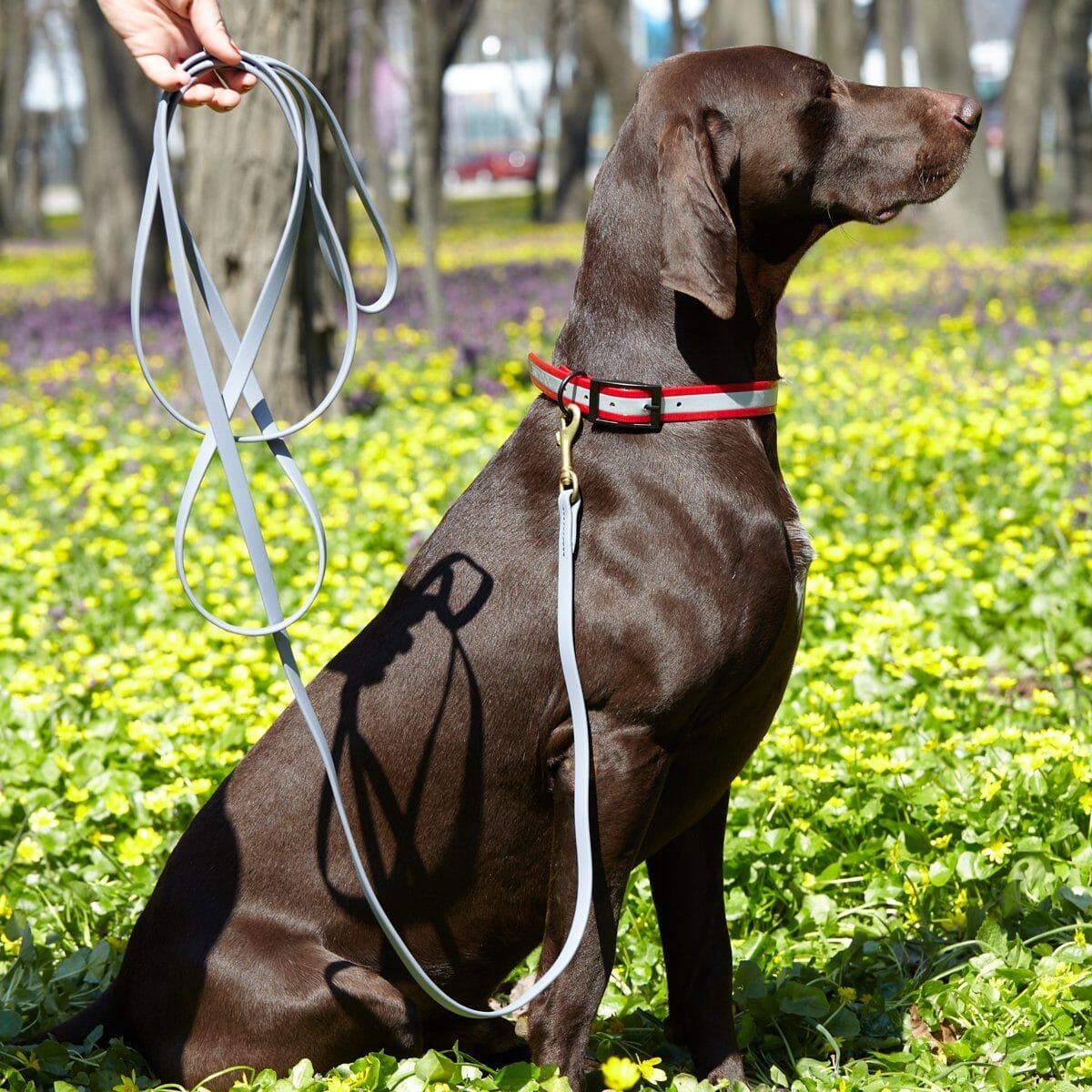 Brass Clip - SMOOTH BioThane Leash: 6ft; 1/2", 5/8", 3/4" wide