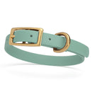 sage green and gold biothane waterproof dog and cat collar with brass metal buckle hardware in size extra small that's a 1/2 inch wide and looks like vegan faux leather.