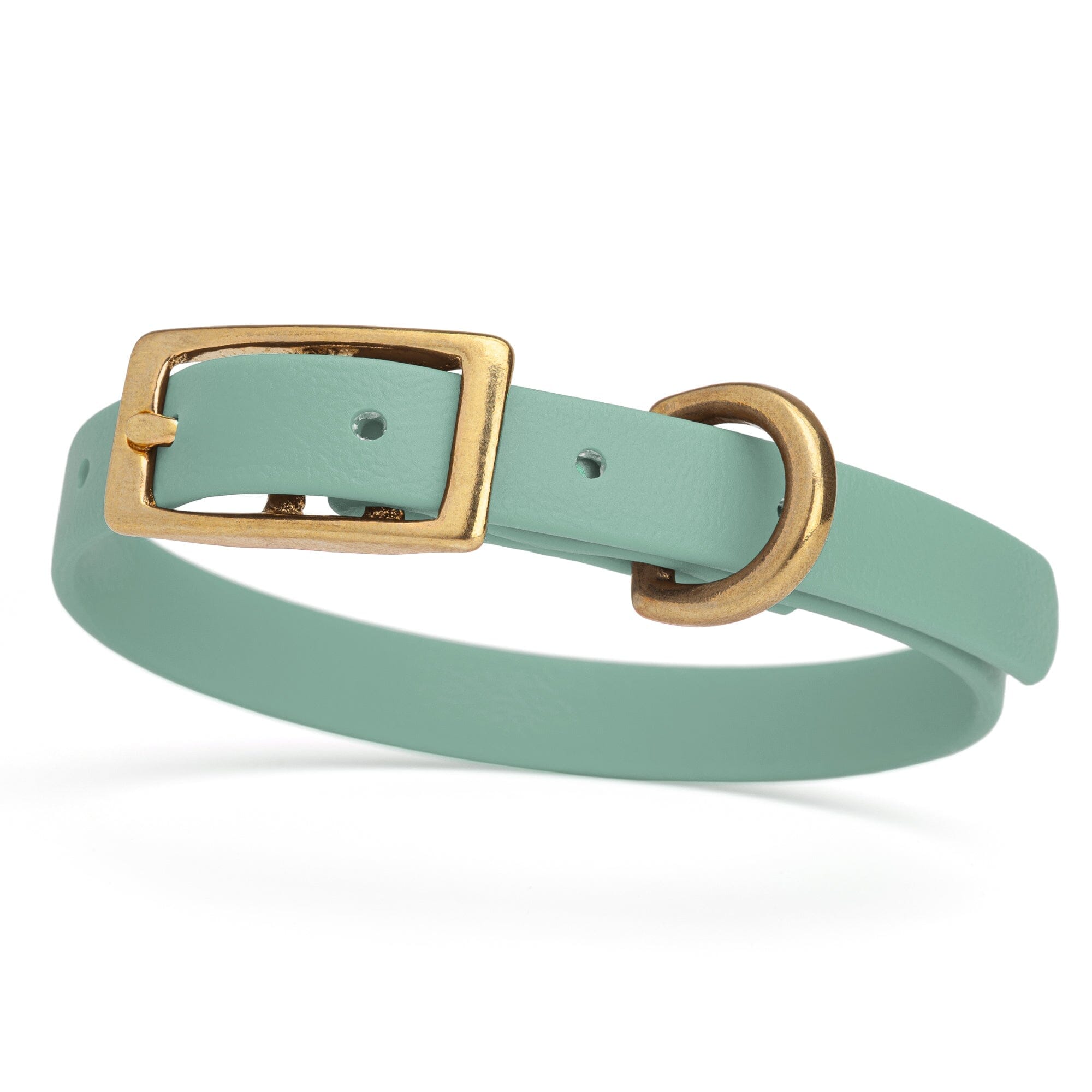 sage green and gold biothane waterproof dog and cat collar with brass metal buckle hardware in size extra small that's a 1/2 inch wide and looks like vegan faux leather.