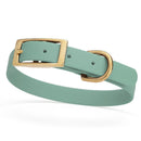sage green and gold biothane waterproof dog and cat collar with brass metal buckle hardware in size small that's 5/8 inch wide and looks like vegan faux leather.