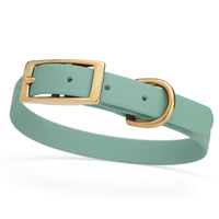sage green and gold biothane waterproof dog and cat collar with brass metal buckle hardware in size small that's 5/8 inch wide and looks like vegan faux leather.