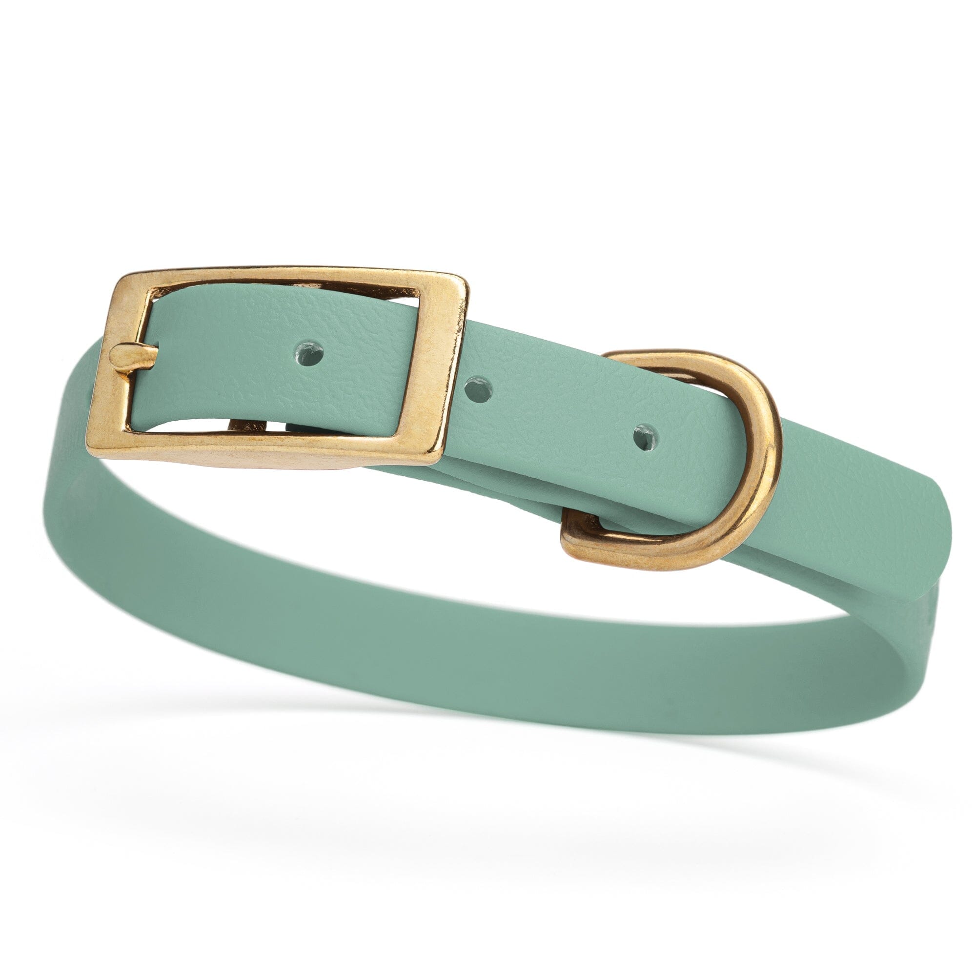 sage green and gold biothane waterproof dog and cat collar with brass metal buckle hardware in size small that's 5/8 inch wide and looks like vegan faux leather.